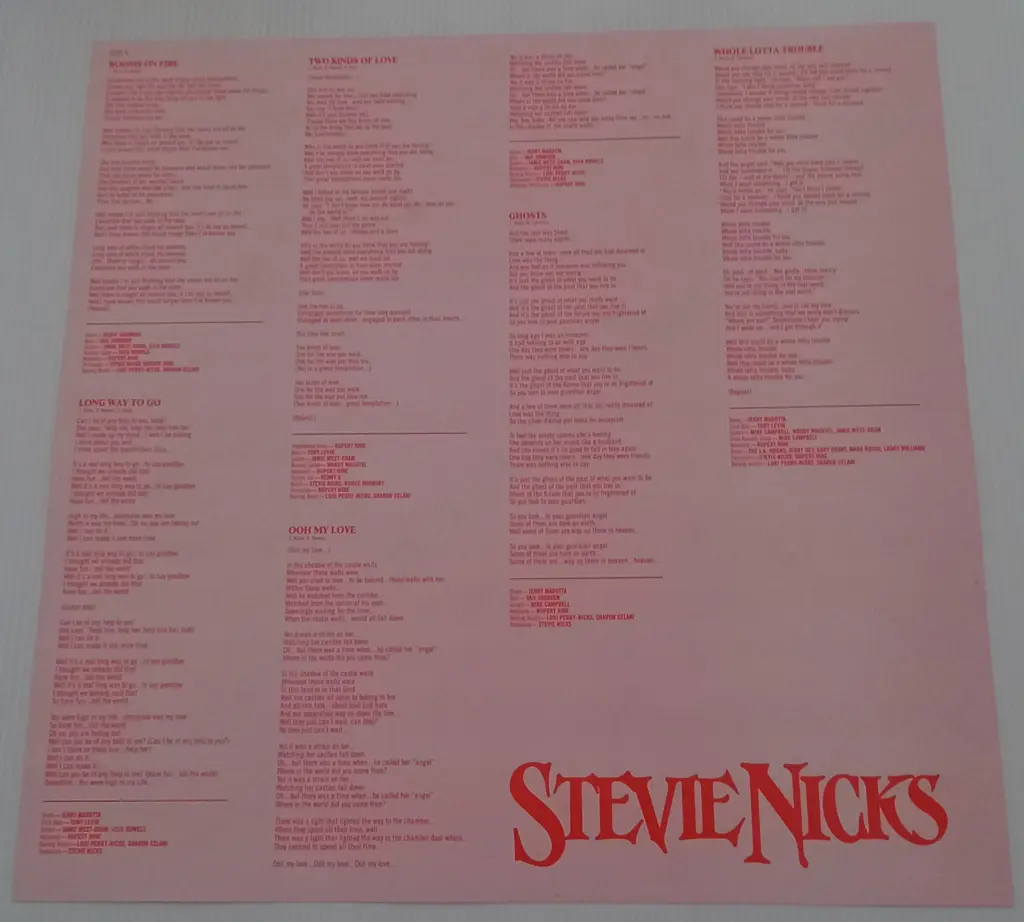 Stevie Nicks, The Other Side Of The Mirror Image 1++